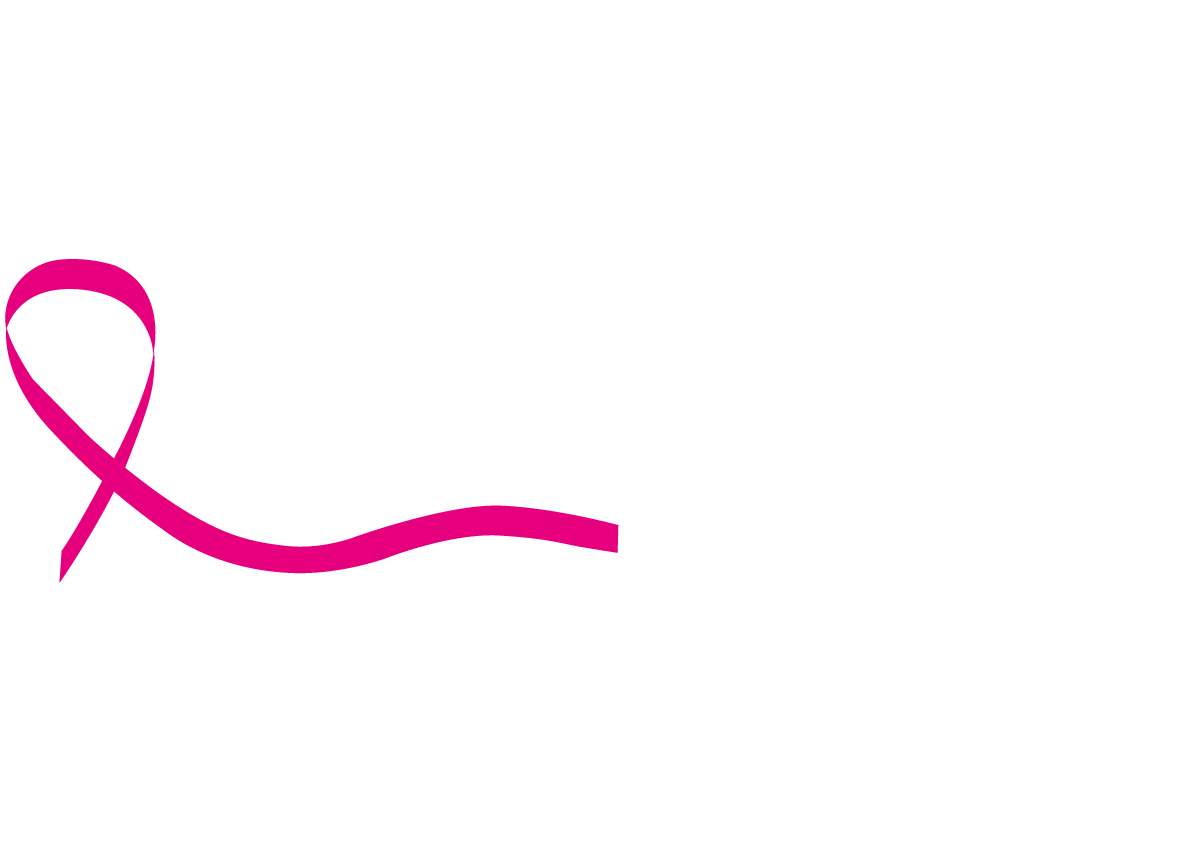 WordPress modèle